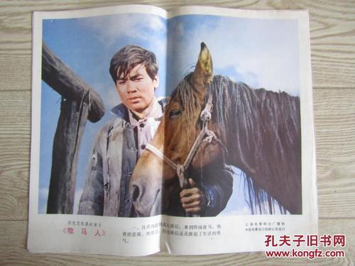 駿河台大学 Art diploma